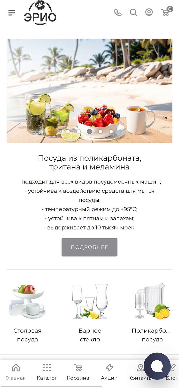 Миграция оптового интернет-магазина профессиональной кухонной посуды «ERIO»